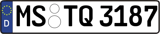 MS-TQ3187