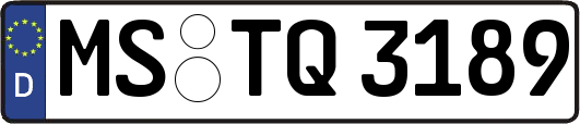 MS-TQ3189