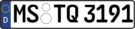 MS-TQ3191