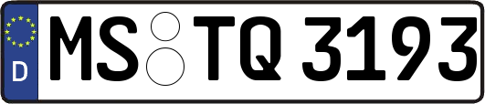 MS-TQ3193