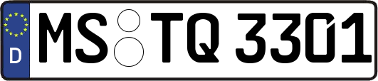 MS-TQ3301