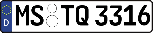 MS-TQ3316