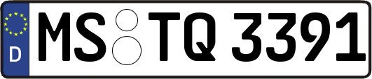 MS-TQ3391