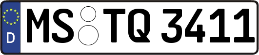 MS-TQ3411