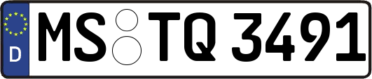 MS-TQ3491