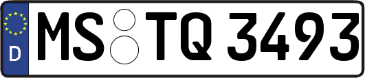 MS-TQ3493