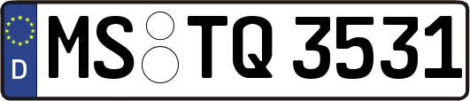 MS-TQ3531