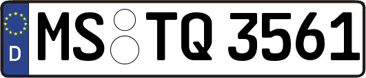 MS-TQ3561