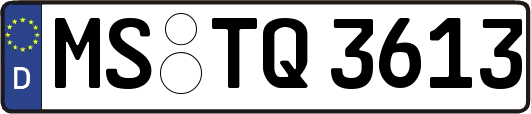 MS-TQ3613