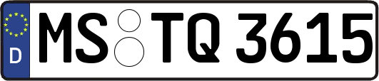 MS-TQ3615