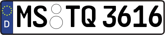 MS-TQ3616
