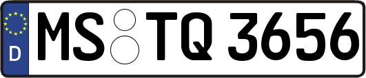 MS-TQ3656