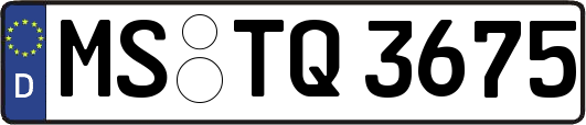 MS-TQ3675