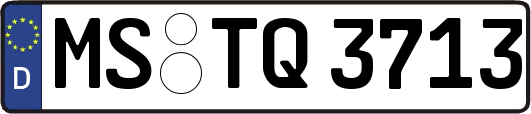 MS-TQ3713