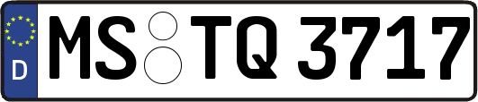 MS-TQ3717