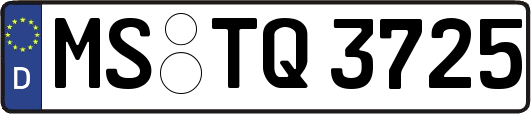 MS-TQ3725
