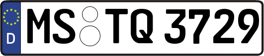 MS-TQ3729
