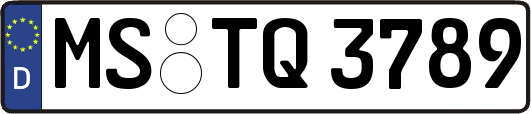 MS-TQ3789