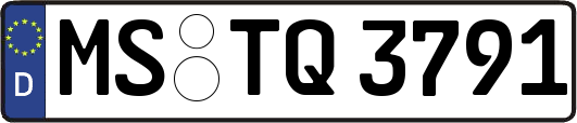 MS-TQ3791