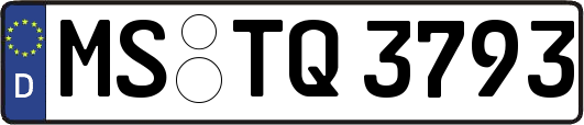MS-TQ3793