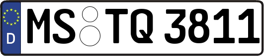 MS-TQ3811
