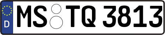 MS-TQ3813