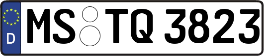 MS-TQ3823