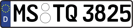 MS-TQ3825