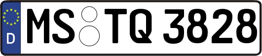 MS-TQ3828