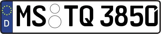 MS-TQ3850
