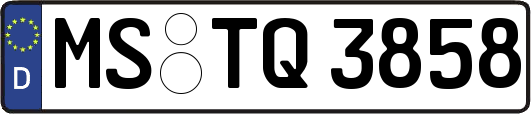 MS-TQ3858