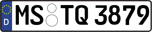 MS-TQ3879