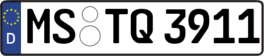 MS-TQ3911