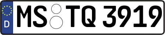MS-TQ3919
