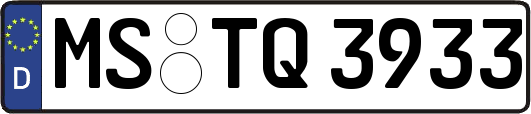 MS-TQ3933