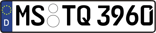 MS-TQ3960