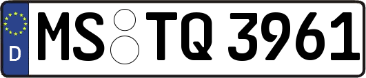 MS-TQ3961