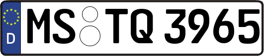 MS-TQ3965