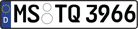 MS-TQ3966