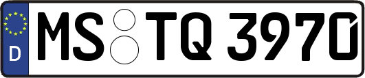 MS-TQ3970