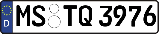 MS-TQ3976