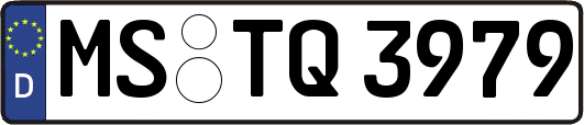 MS-TQ3979