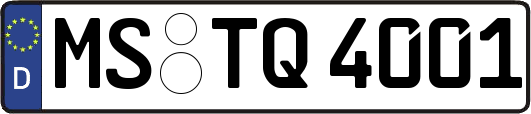 MS-TQ4001