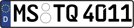 MS-TQ4011