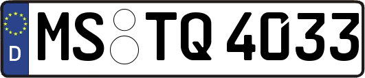 MS-TQ4033