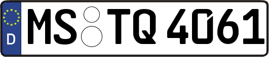 MS-TQ4061