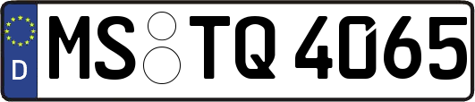 MS-TQ4065