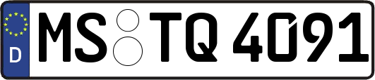 MS-TQ4091