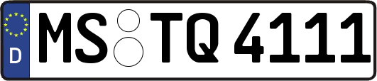 MS-TQ4111