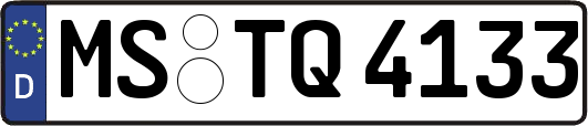 MS-TQ4133